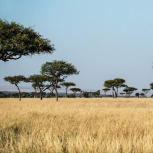 Africa โ travel destination