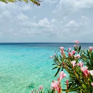 Bonaire — travel destination