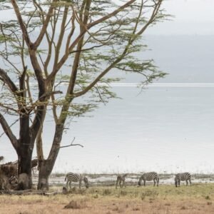 Burundi โ travel destination