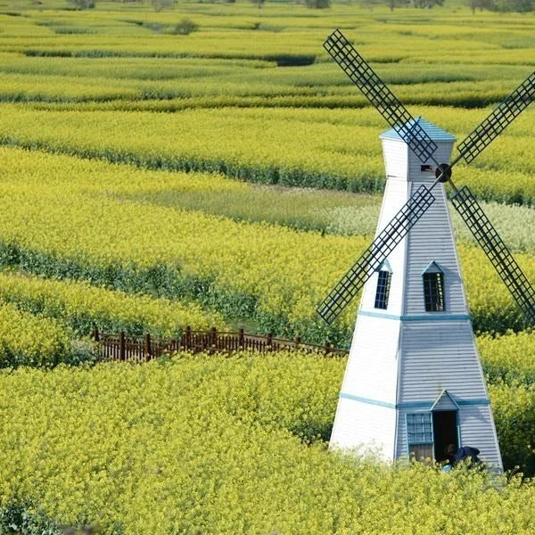 eSIM China