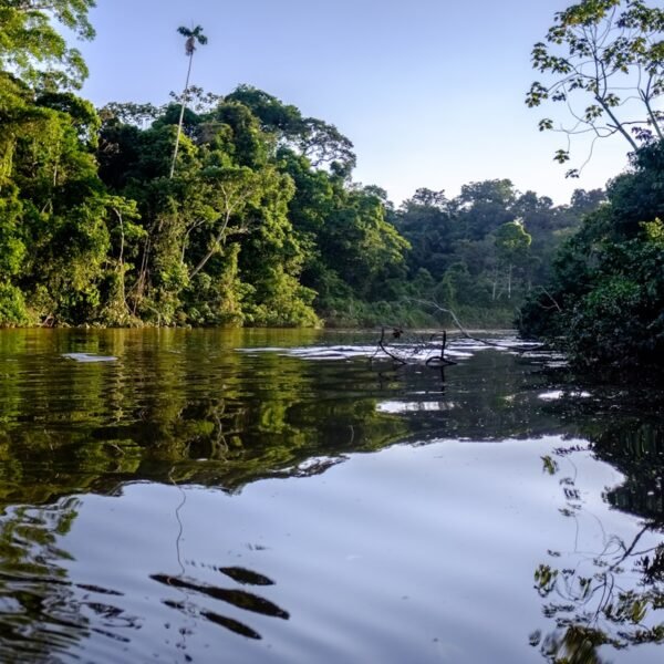 eSIM French Guiana