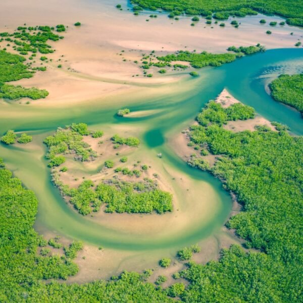 eSIM Gambia