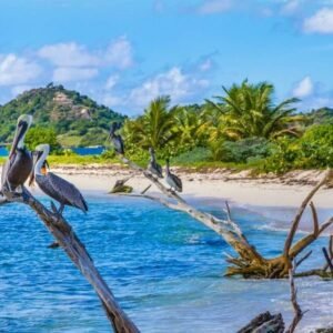 eSIM Grenada