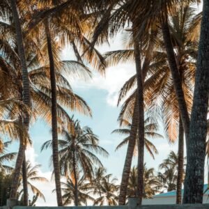 Guadeloupe โ travel destination
