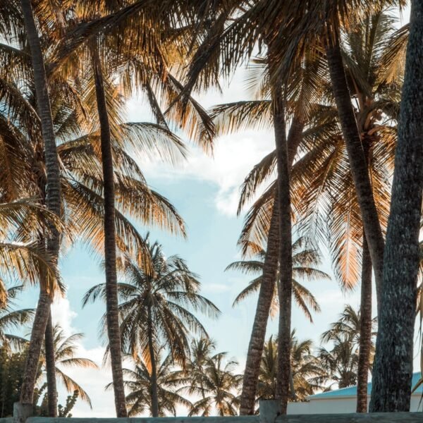 eSIM Guadeloupe