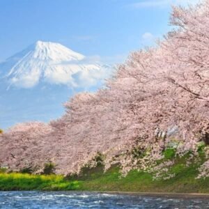 eSIM Japan