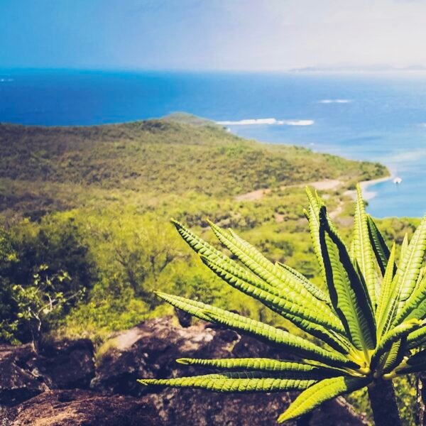 eSIM Martinique