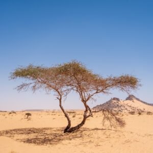 Mauritania โ travel destination