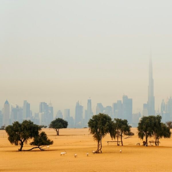 eSIM Middle East