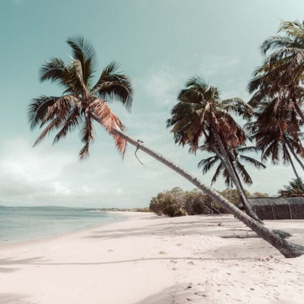 eSIM Mozambique