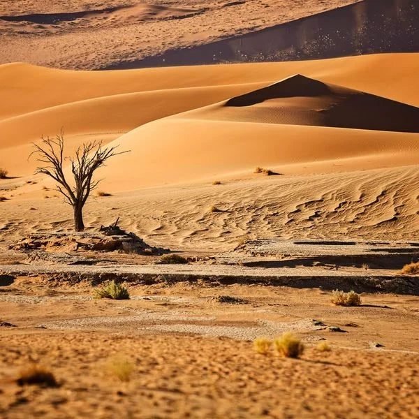 eSIM Namibia