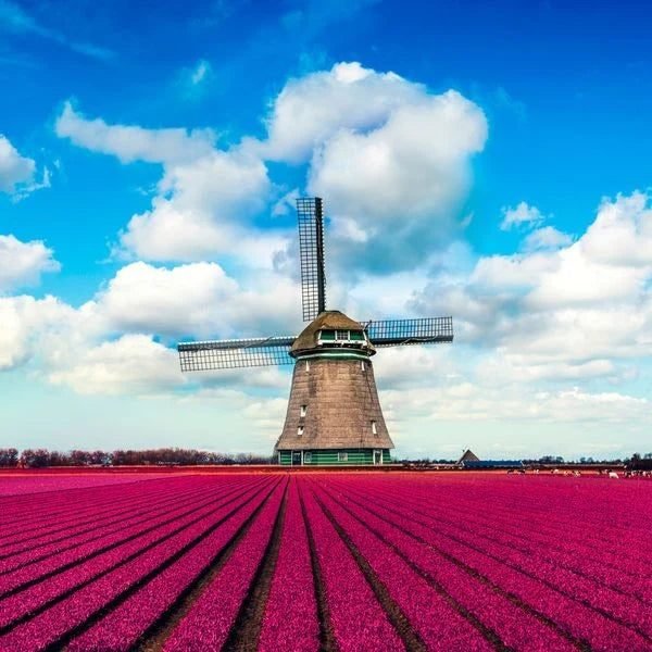 eSIM Netherlands