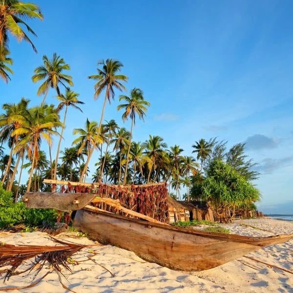 eSIM Tanzania