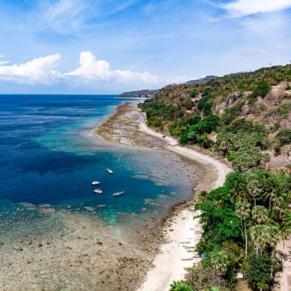 eSIM Timor-Leste