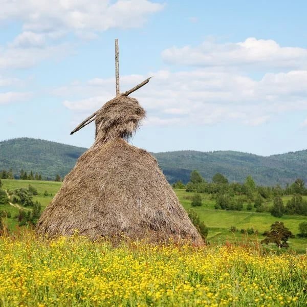 eSIM Ukraine
