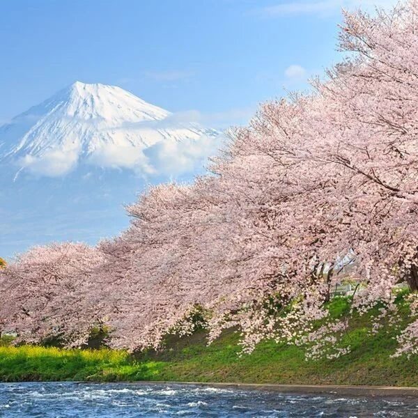 eSIM for Japan