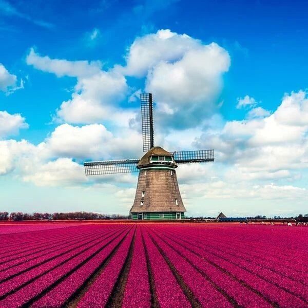 eSIM for Netherlands