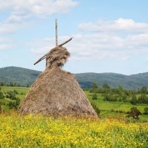 eSIM for Ukraine — travel data plan by Travinger